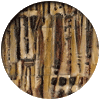 decorativo06.gif